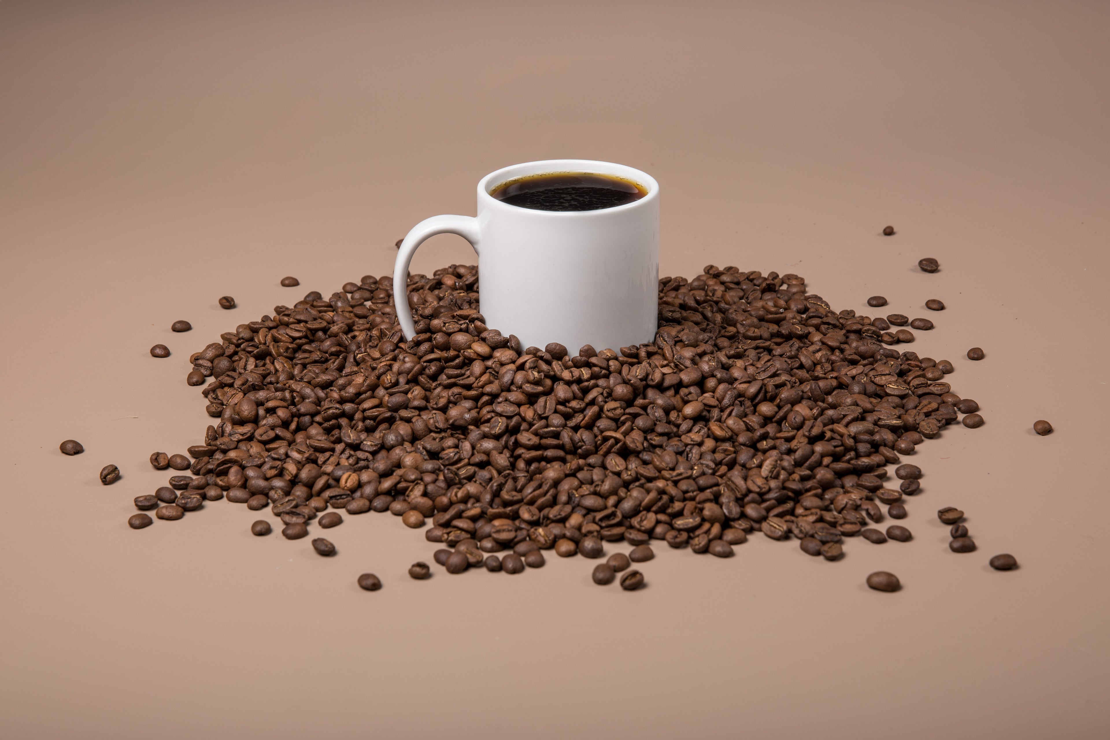 The Great Shepherd Coffee co.